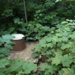 Manitou Backpack Campsite #7