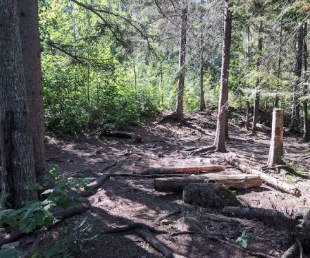 Horseshoe Ridge Camp