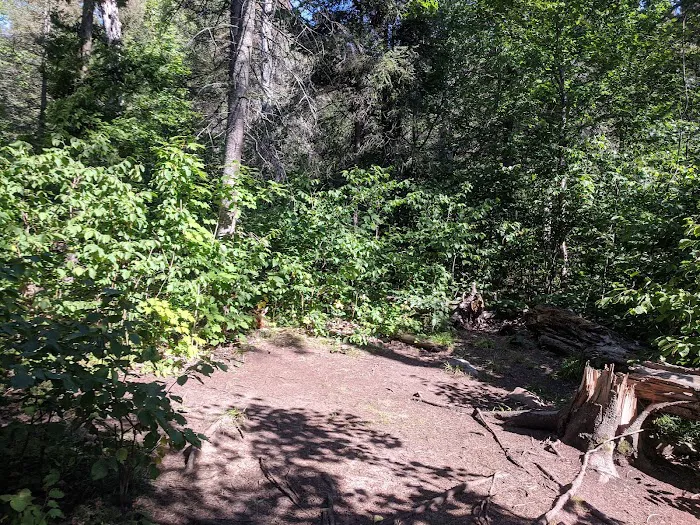 Horseshoe Ridge Camp Picture 3