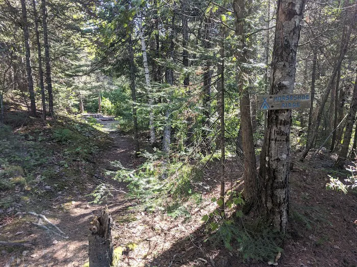Horseshoe Ridge Camp Picture 6