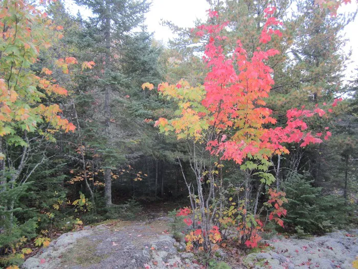 Horseshoe Ridge Camp Picture 8