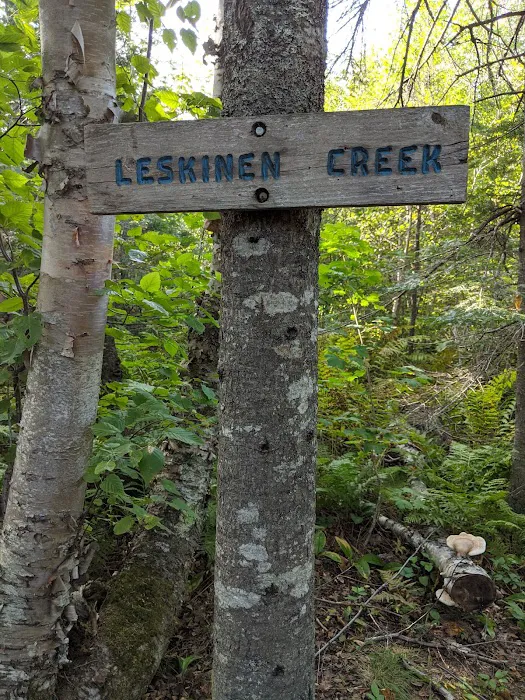 Leskinen Creek Camp Picture 3
