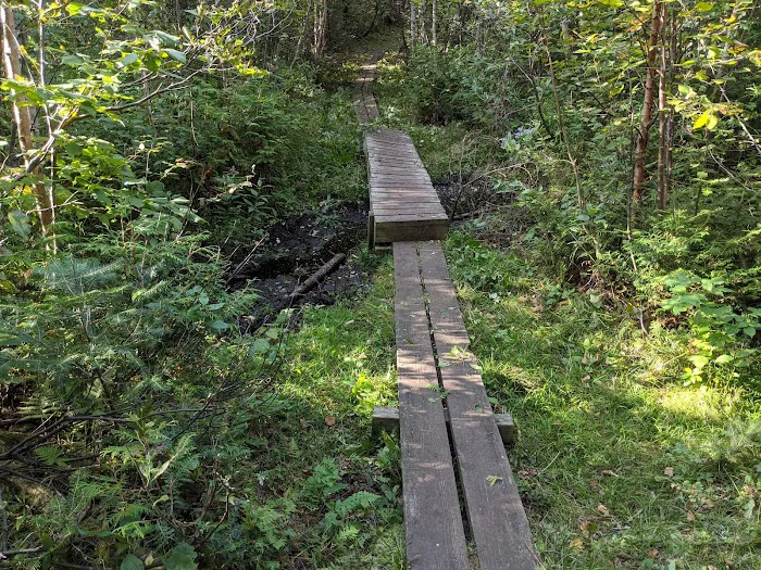 Leskinen Creek Camp Picture 7