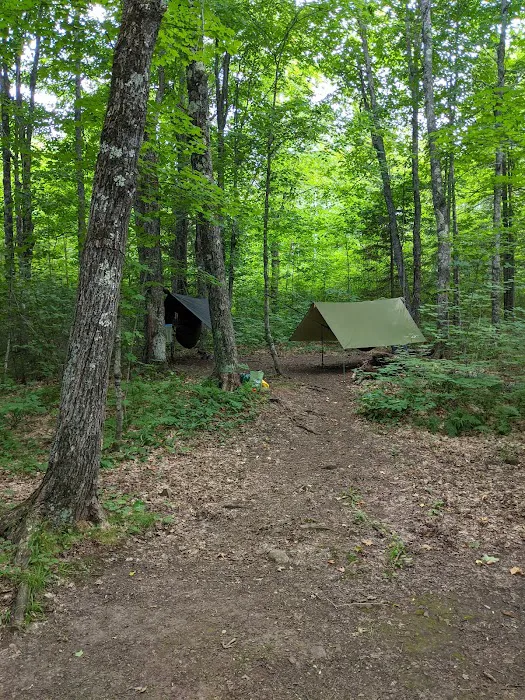 Leskinen Creek Camp Picture 5