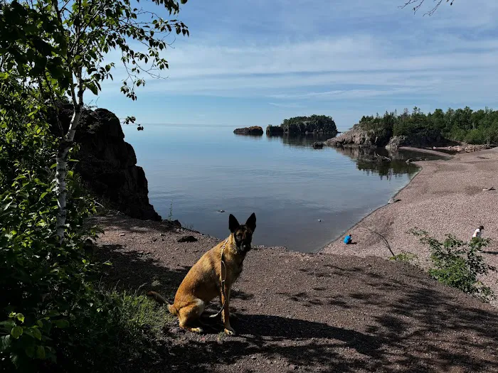 Black Beach Municipal Campground Picture 6