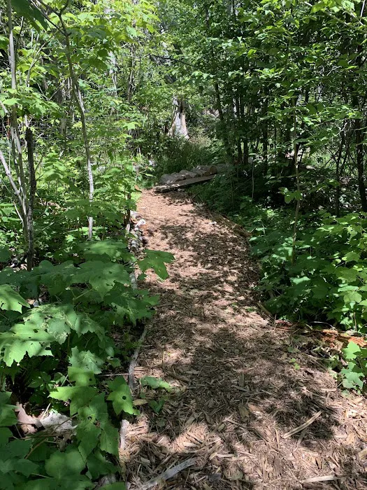 Group Camp Area Picture 6