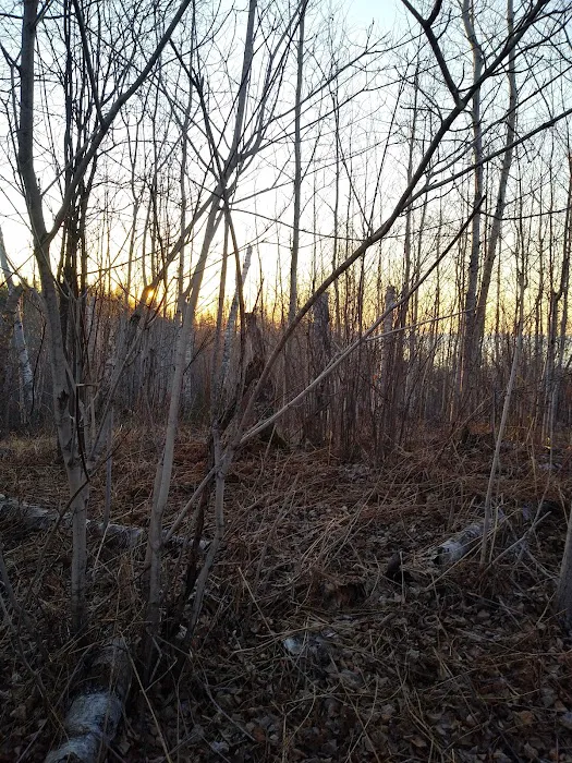West Kennedy Creek Camp Picture 3