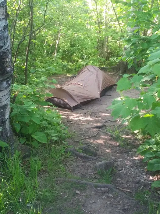 West Kennedy Creek Camp Picture 2