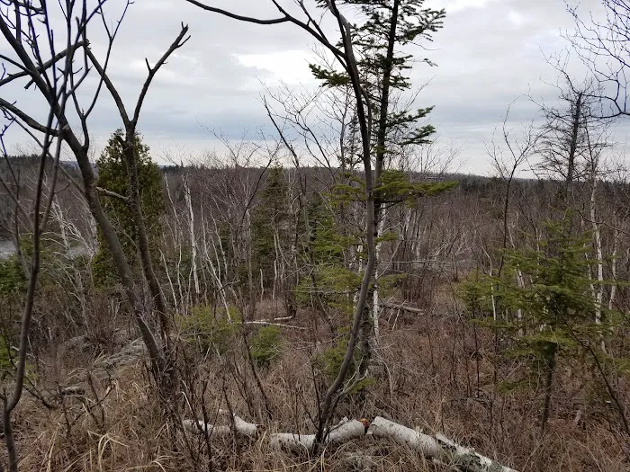 West Kennedy Creek Camp Picture 10