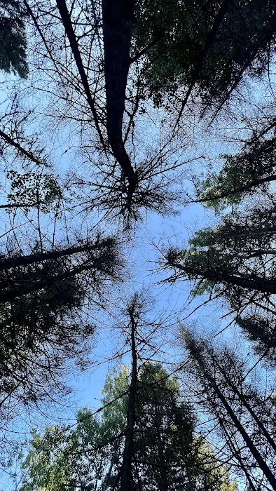 Aspen Knob Camp Picture 2