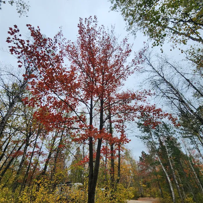 Bear Head Lake Campground Picture 7