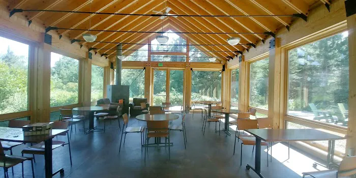 Bear Head Lake Campground Picture 2