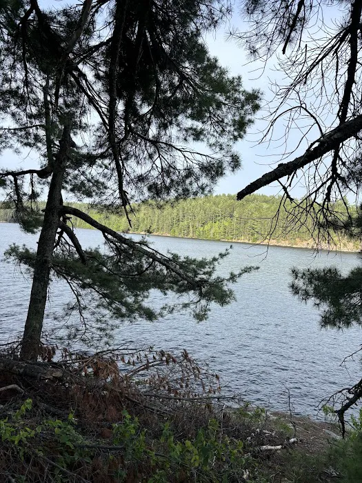 Superior National Forest Campsite #2120 Picture 4