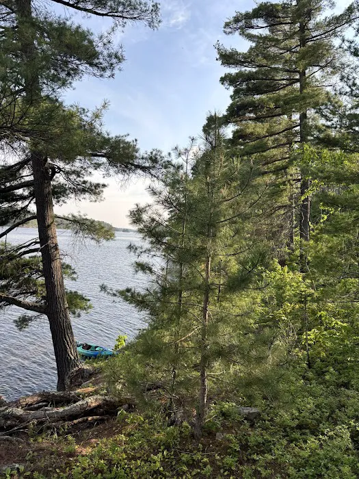 Superior National Forest Campsite #2120 Picture 1