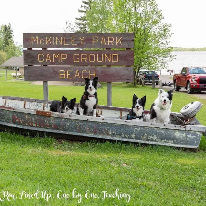 McKinley Park Campground Picture 9