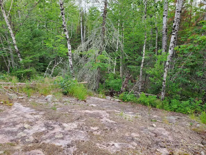 Vermilion Ridge Campground Picture 2