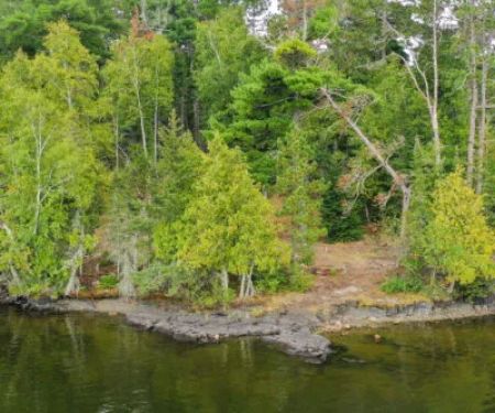 Pine Island North East USFS Campsite