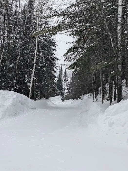 Timber Trail Resort and Campgrounds Picture 10