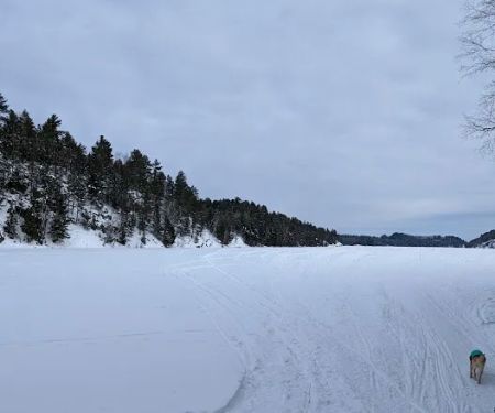 Timber Trail Resort and Campgrounds