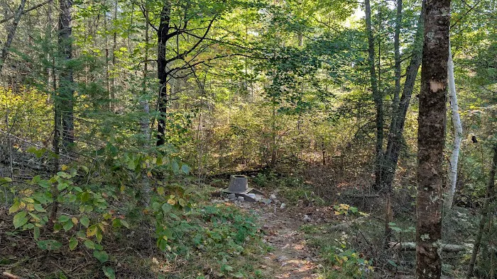 BWCA Campsite #1612 Picture 2