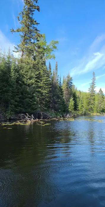 Canoe Country Cabins and Campground Picture 5