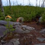 North Wilder Lake Campsite - Powwow Trail