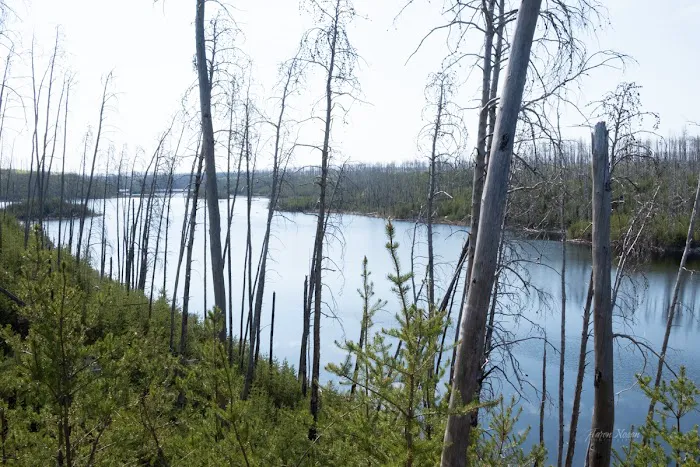 South Wilder Lake Campsite - Powwow Trail Picture 6