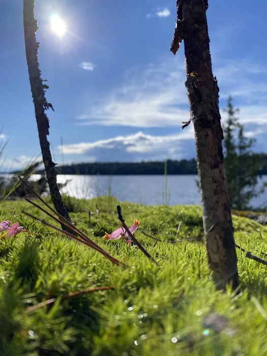 BWCA Campsite Picture 9