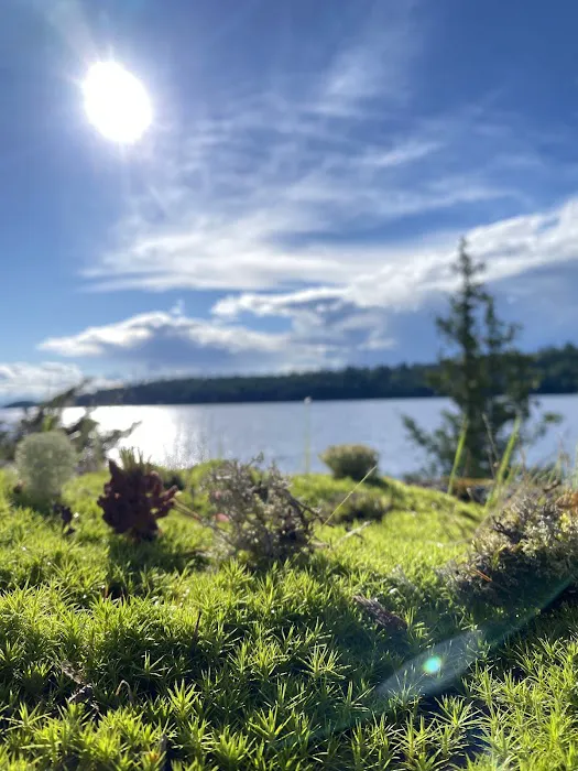 BWCA Campsite Picture 1