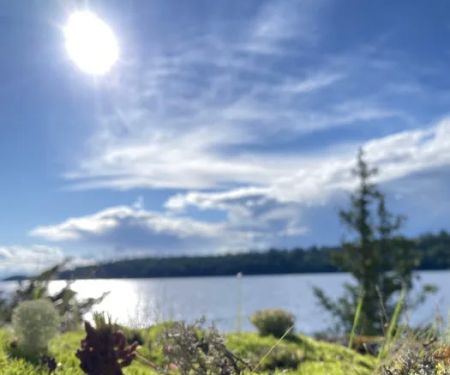 BWCA Campsite