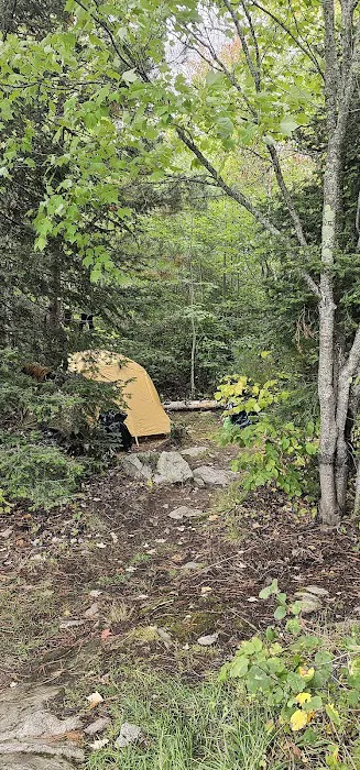 BWCA Campsite #1098 Picture 3