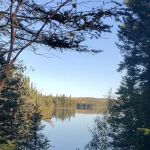 BWCA Campsite #990