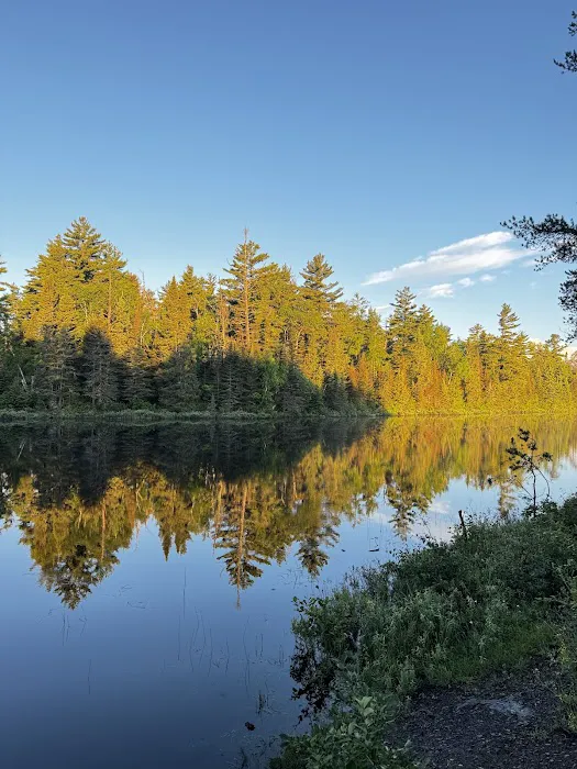 Kawishiwi Lake Rustic Campground Picture 6