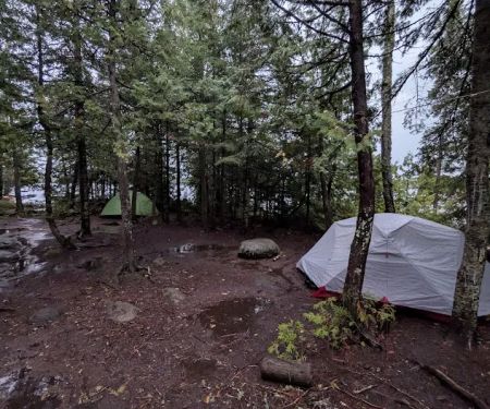 BWCA Campsite #868