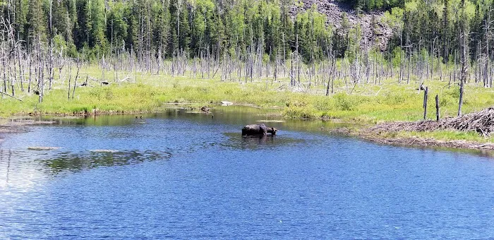 Sawbill Lake Campground Picture 4