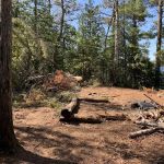 Superior National Forest Campsite #2052