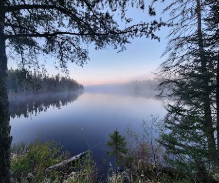 BWCA Campsite #876