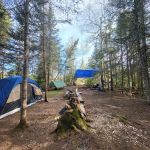 BWCA Campsite #919