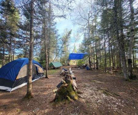BWCA Campsite #919