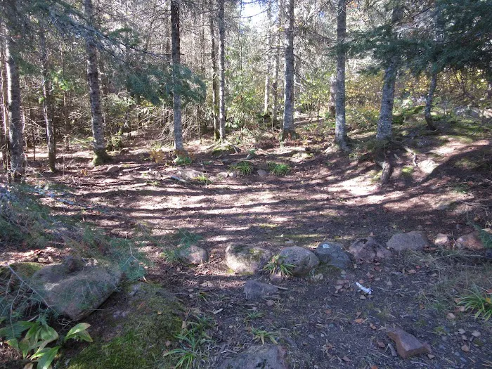 BWCA Campsite #913 Picture 6