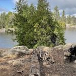 BWCA Campsite #916