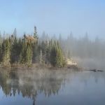 BWCA Campsite #908