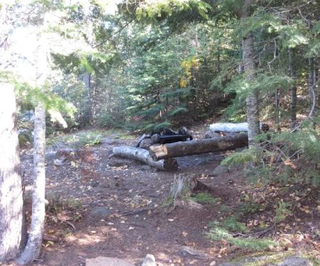 BWCA Campsite #955
