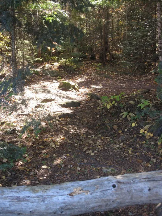 BWCA Campsite #955 Picture 6