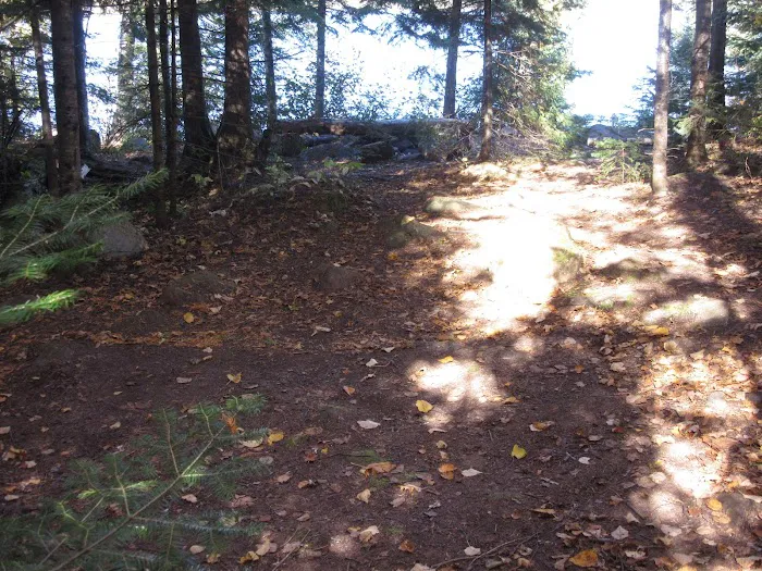 BWCA Campsite #955 Picture 8
