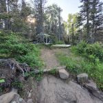 BWCA Campsite #900
