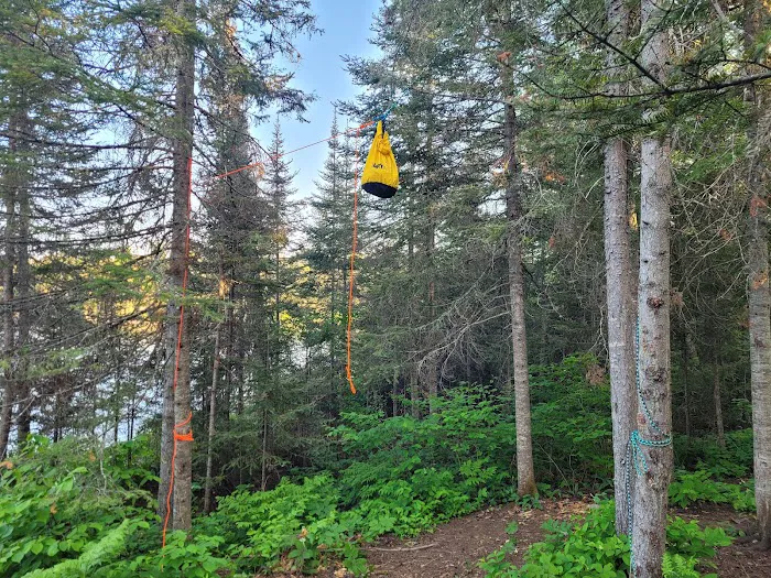 BWCA Campsite #900 Picture 6