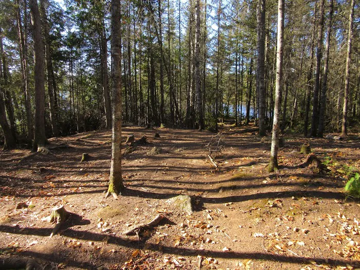 BWCA Campsite #888 Picture 4
