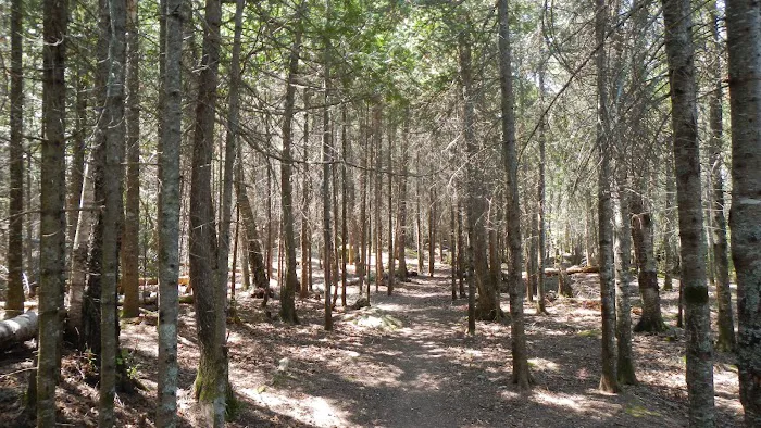 BWCA Campsite #892 Picture 2