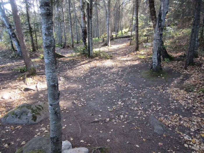 BWCA Campsite #901 Picture 7